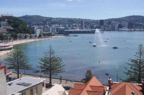 Oriental Bay At Its Best